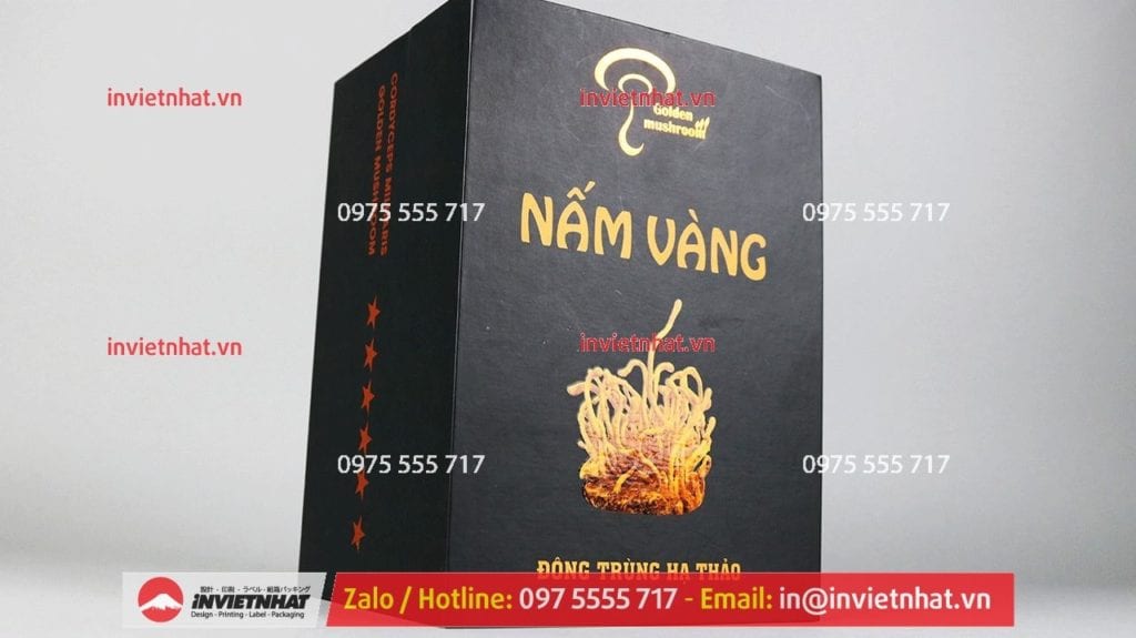 in hộp giấy invietnhat 38
