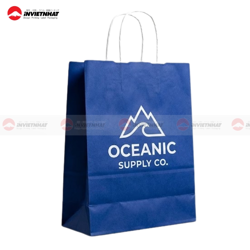 mau tui giay in logo