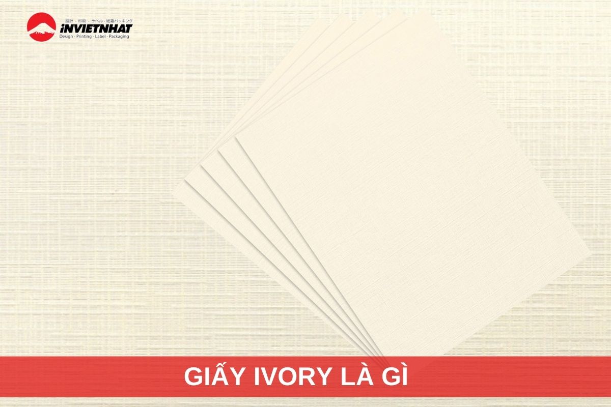 giay ivory la gi