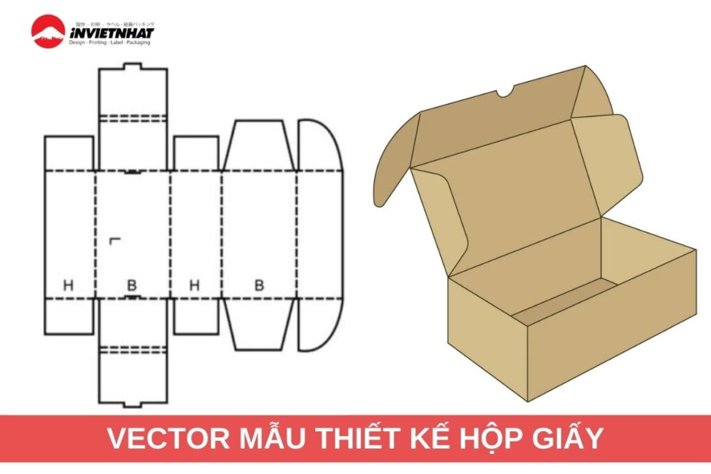 vector mau thiet ke hop giay chuyen nghiep