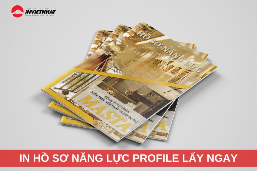 in ho so nang luc chat luong gia re
