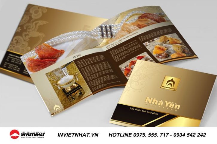 Mẫu bìa catalogue nghệ thuật