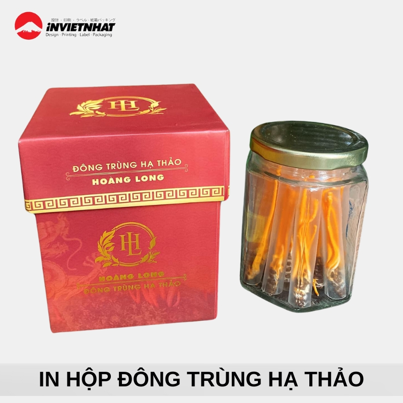 in hop dung dong trung