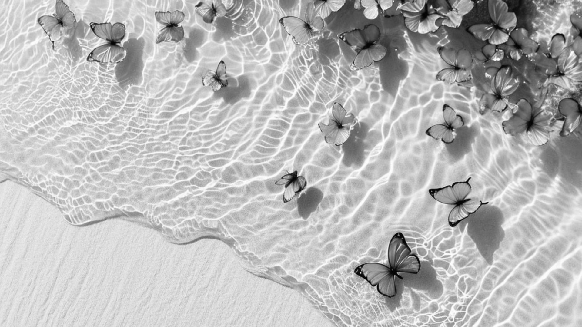 Anh background trang dep mat