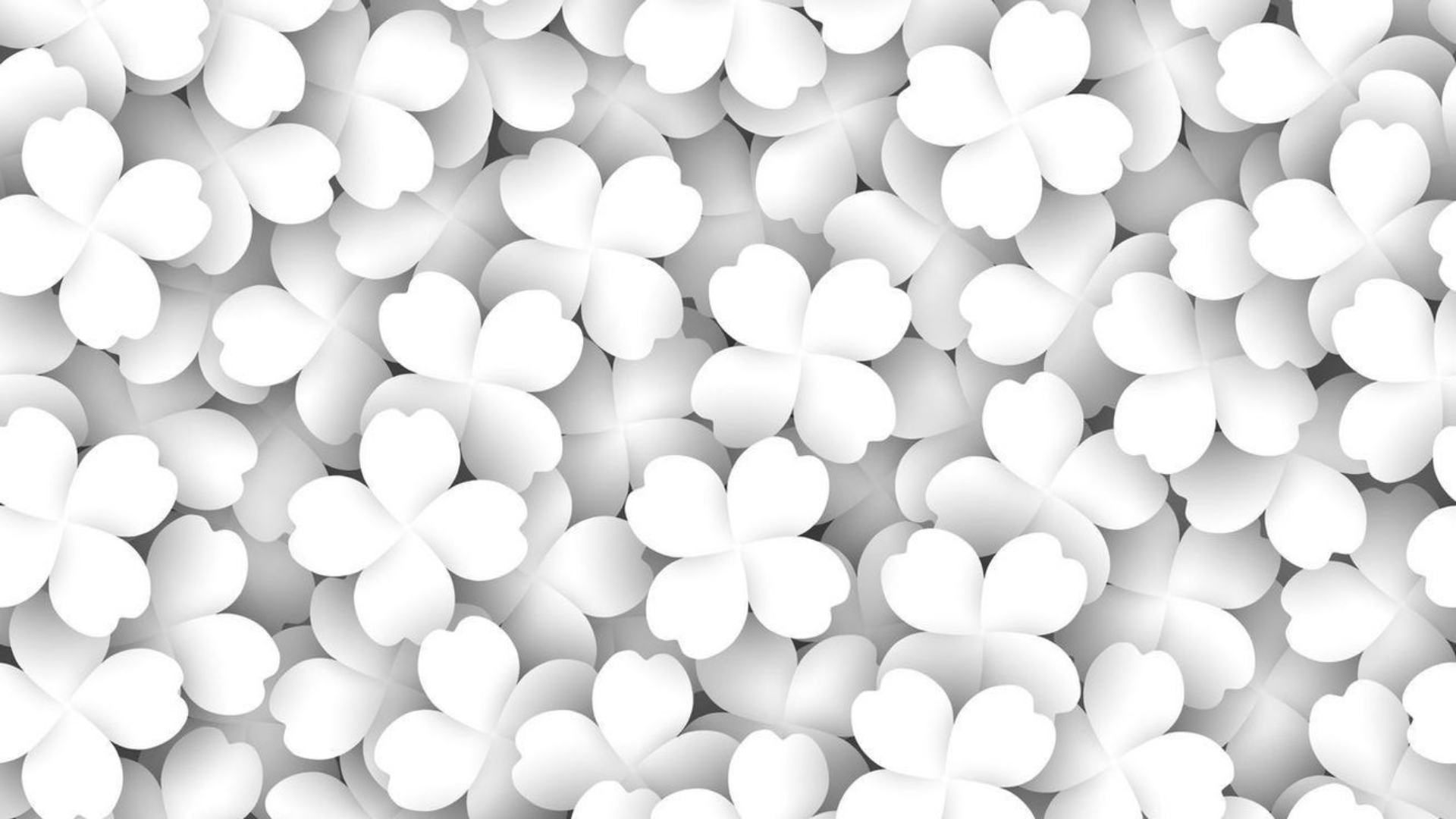 Nen trang chat luong cao