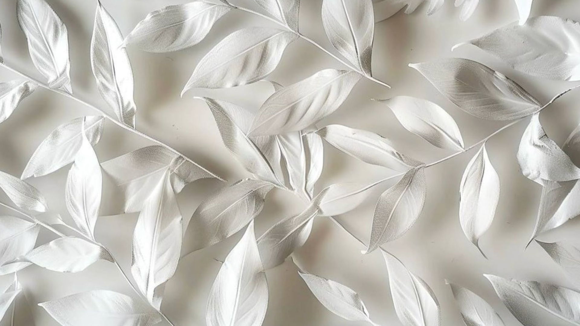 70+ Mẫu background trắng, phông nền màu trắng sang trọng 201 Nen trang studio