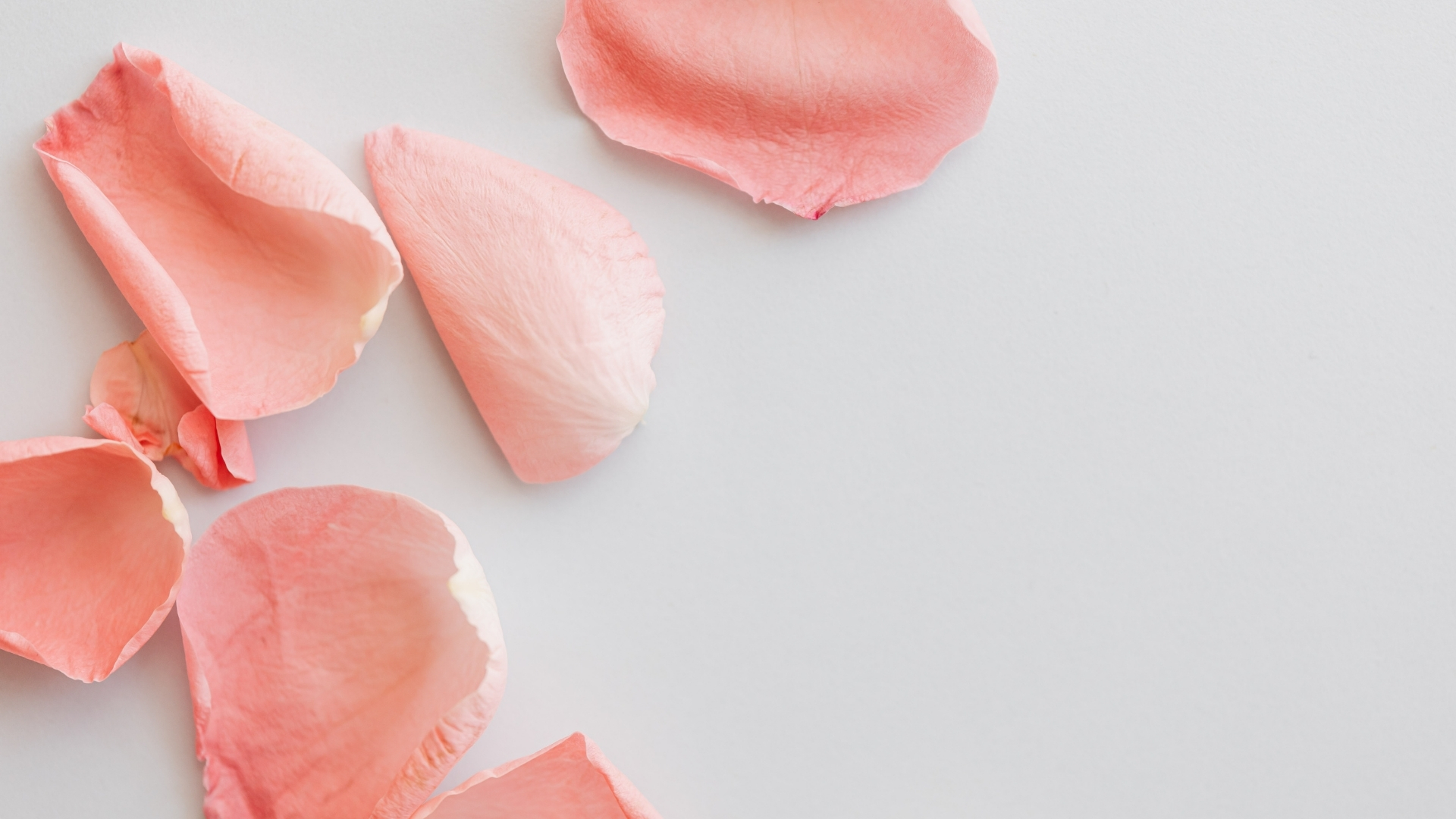 Nen trang voi hoa nhe nhang