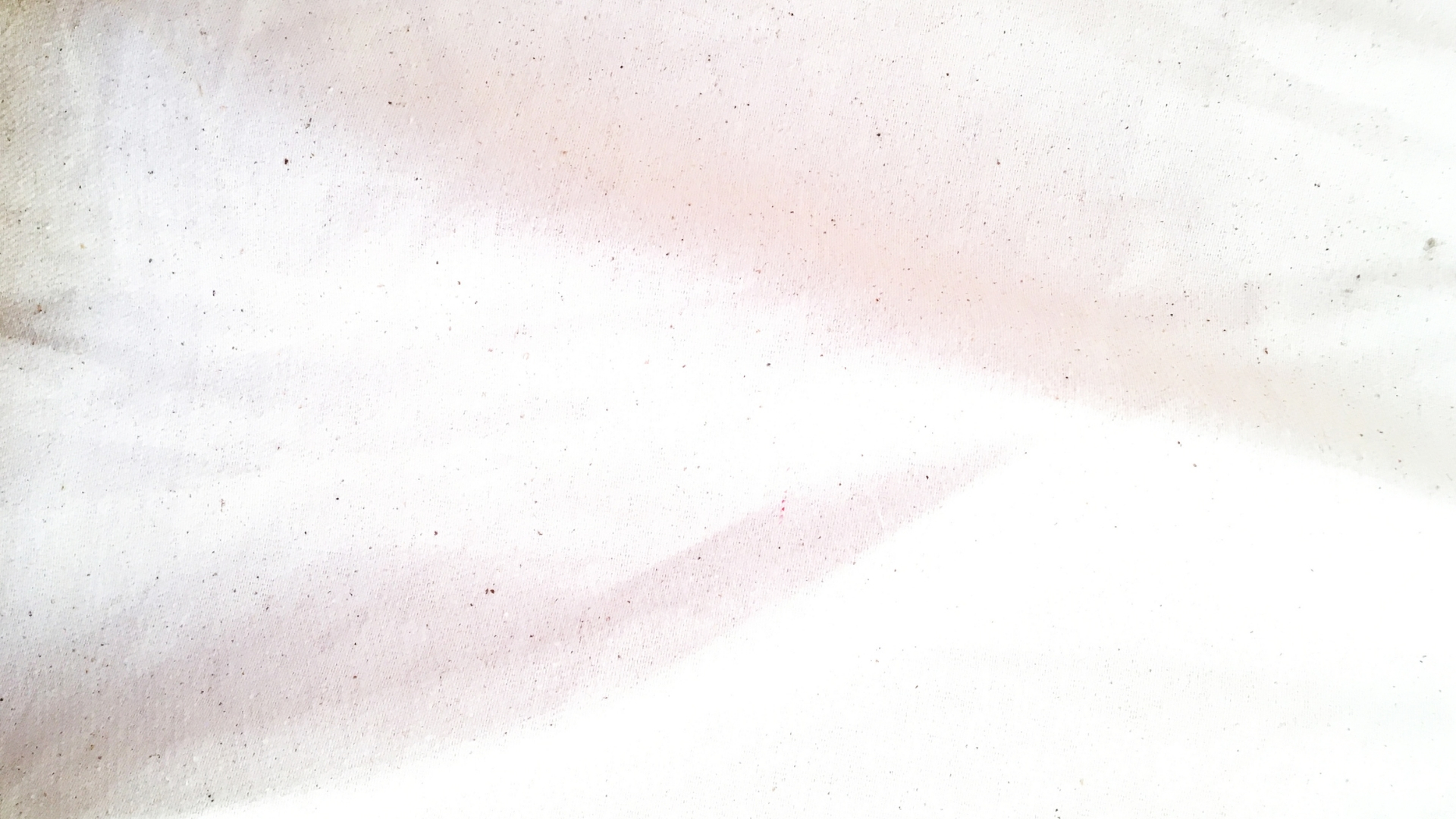 background mau hong trang