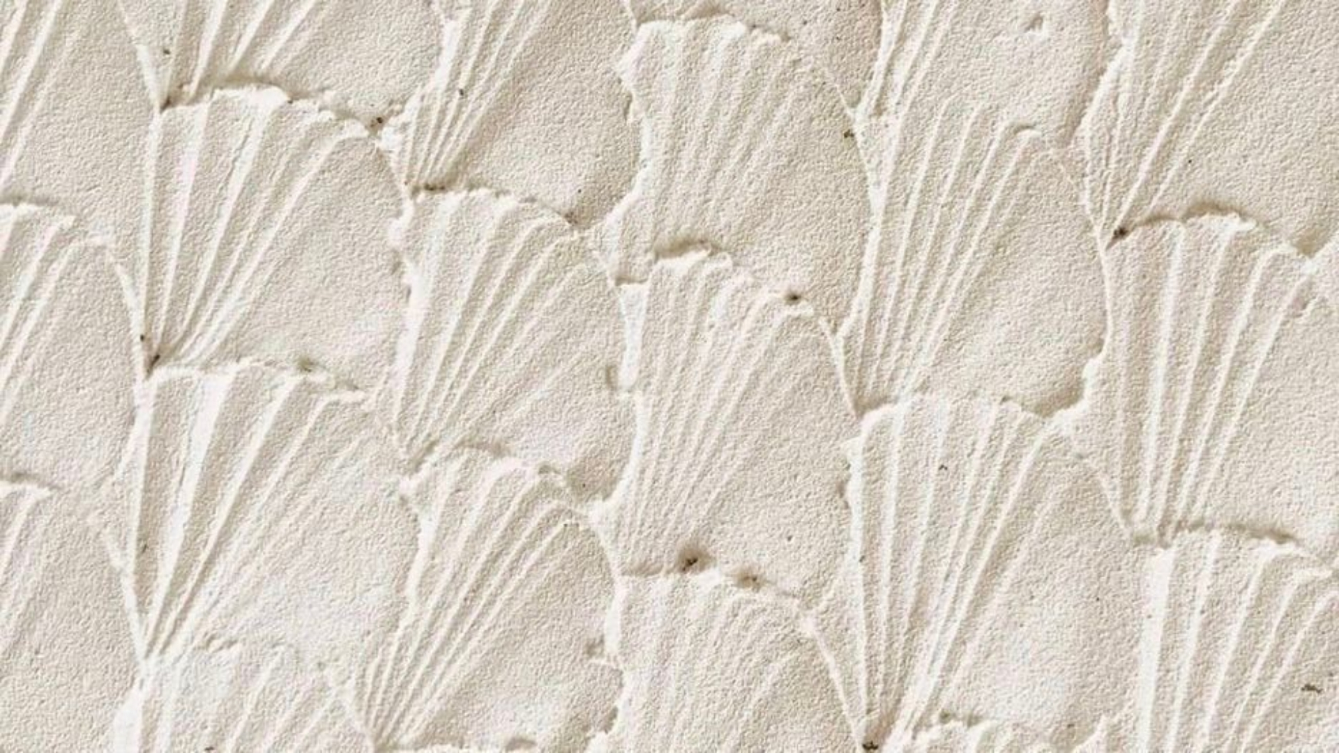 background nen trang dep