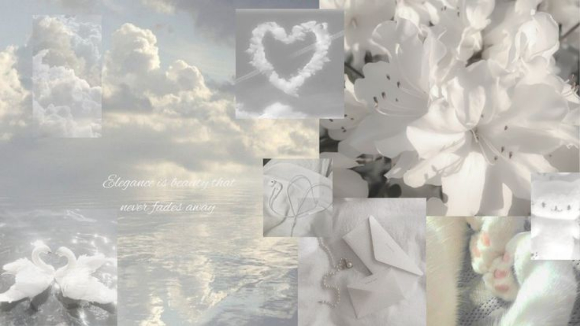 background trang dep