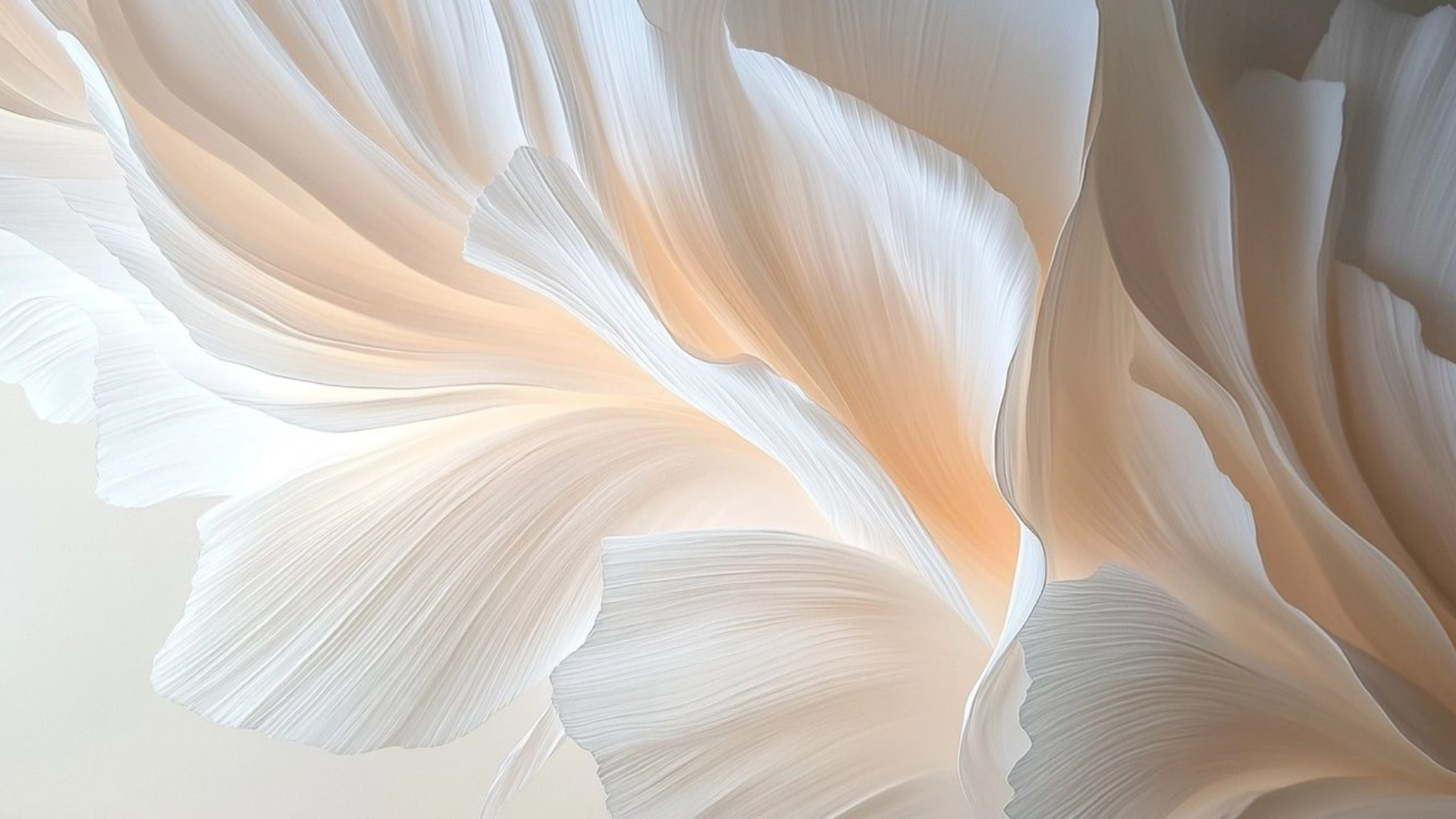 background trang don gian