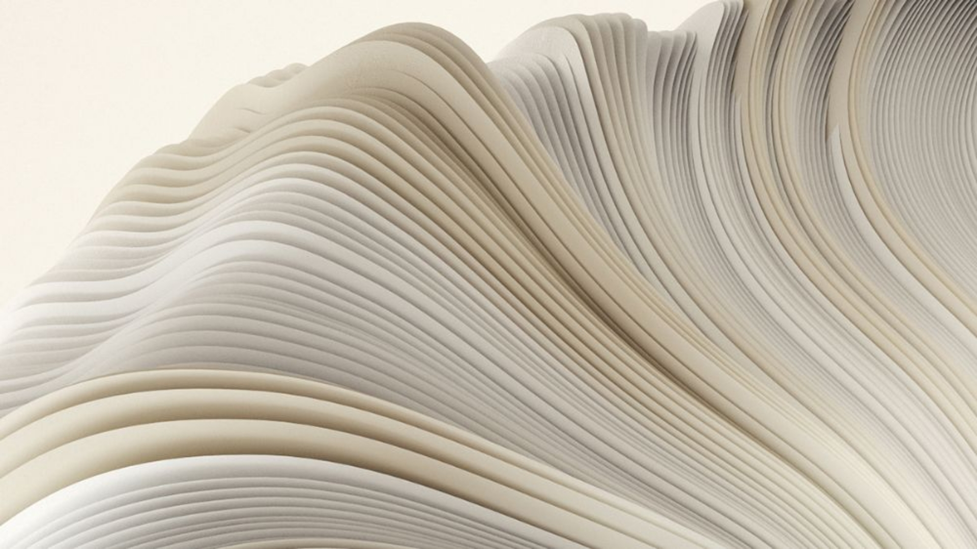 background trang duc