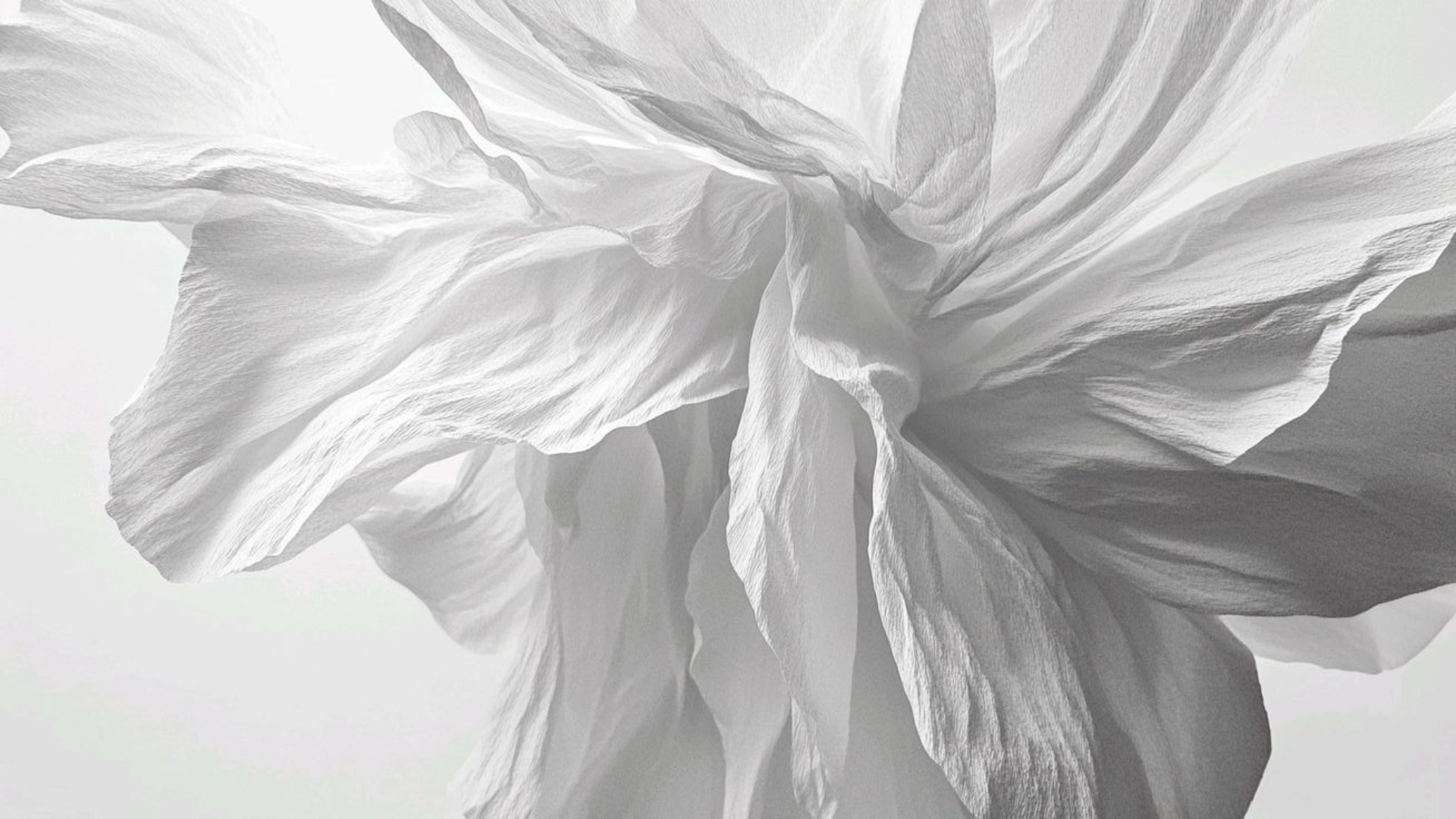 background trang nga