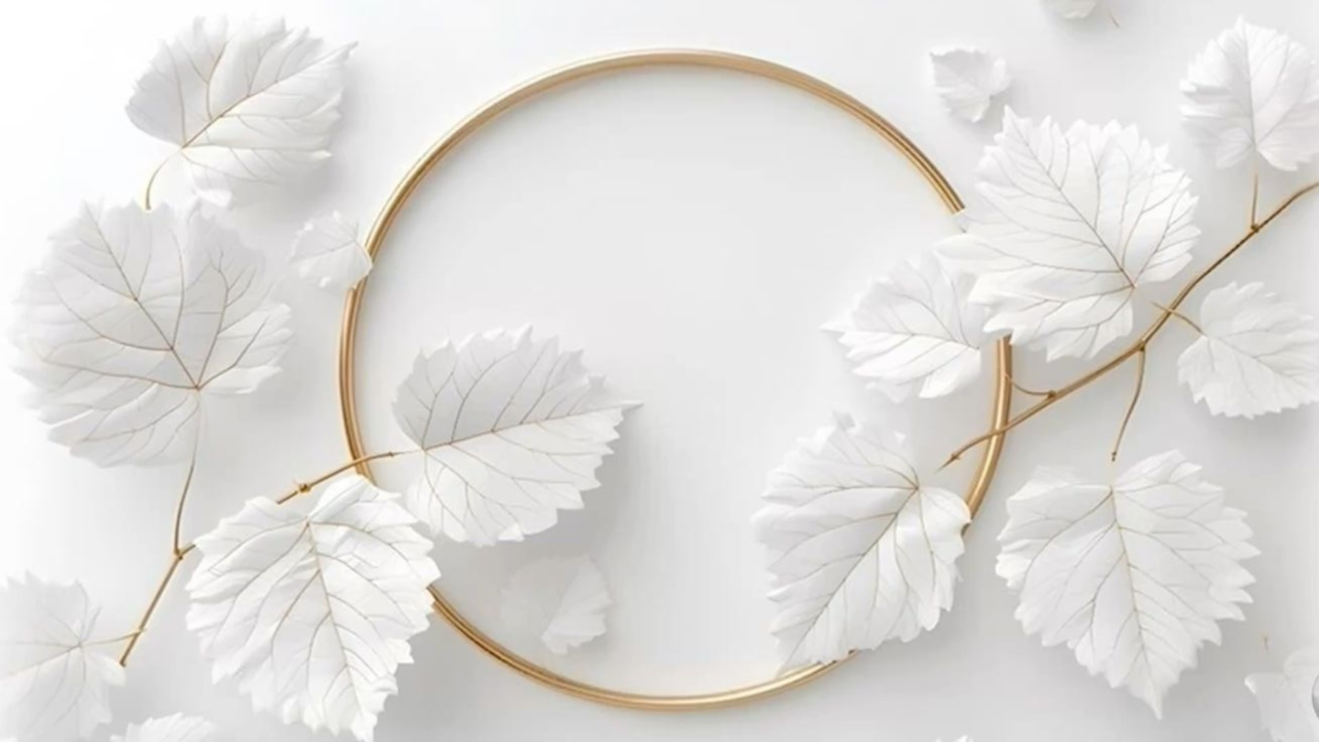 background trang studio