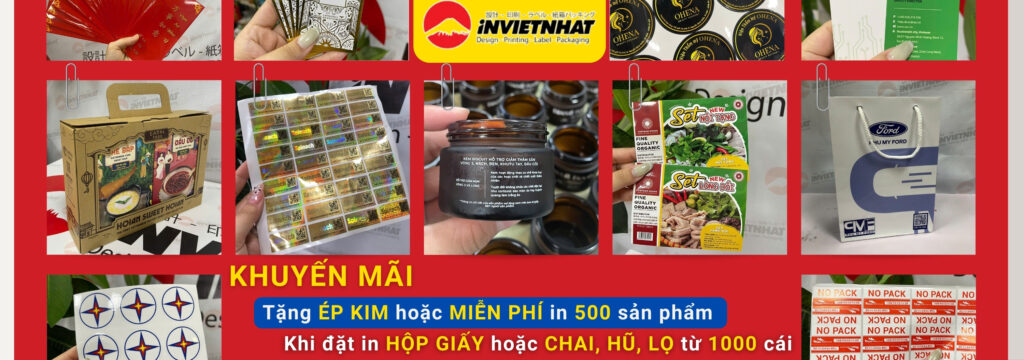 in việt nhật