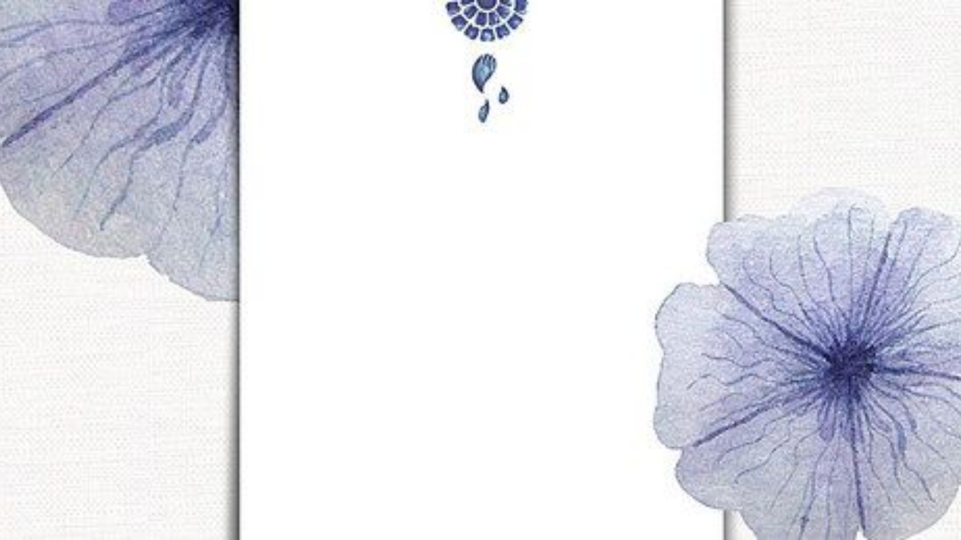 hinh background trang