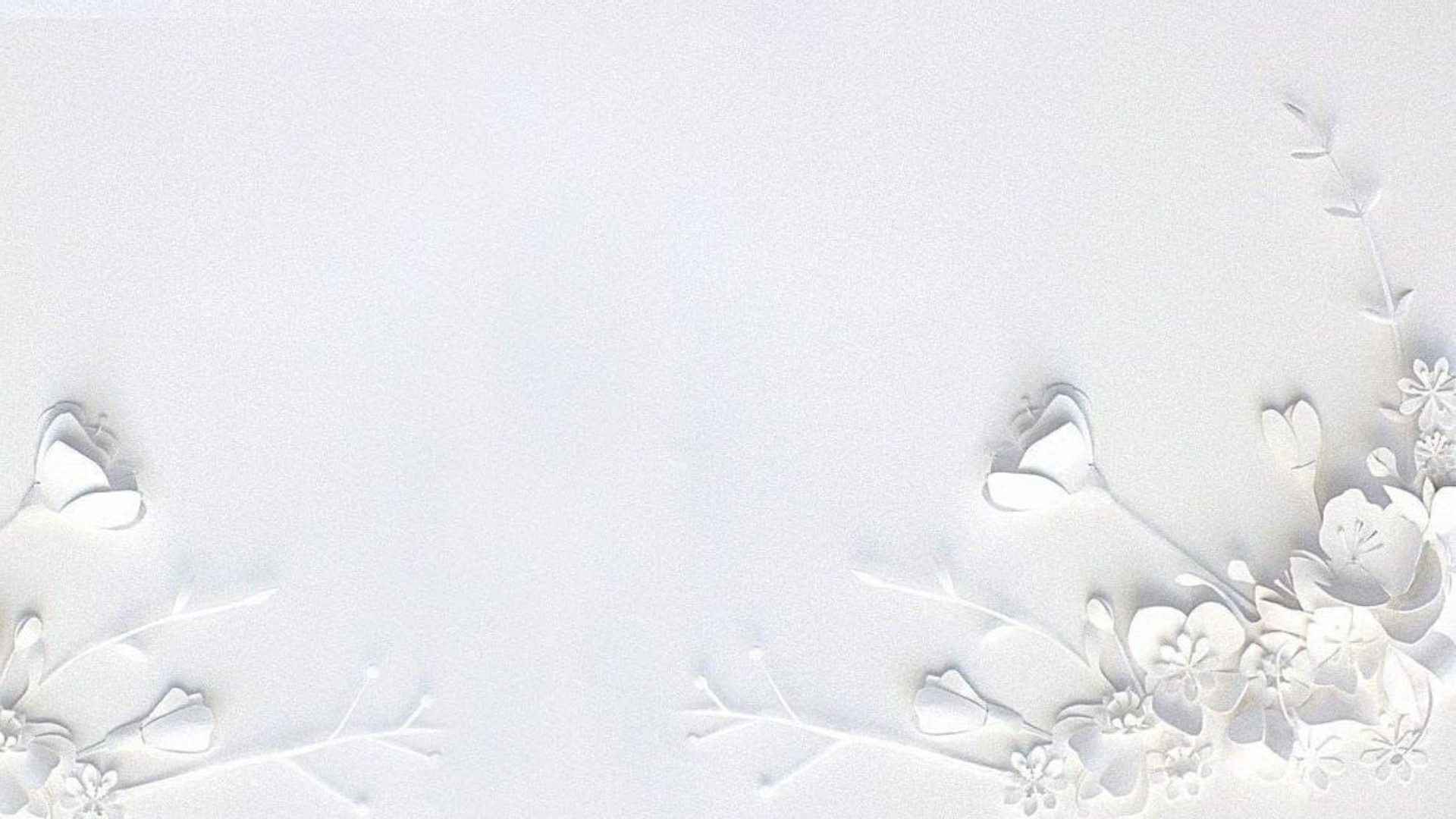 hinh nen background mau trang