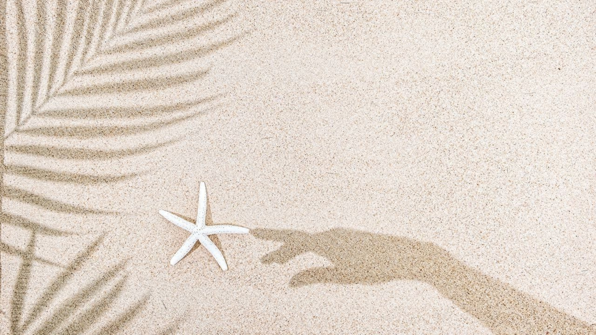 hinh nen trang bai bien