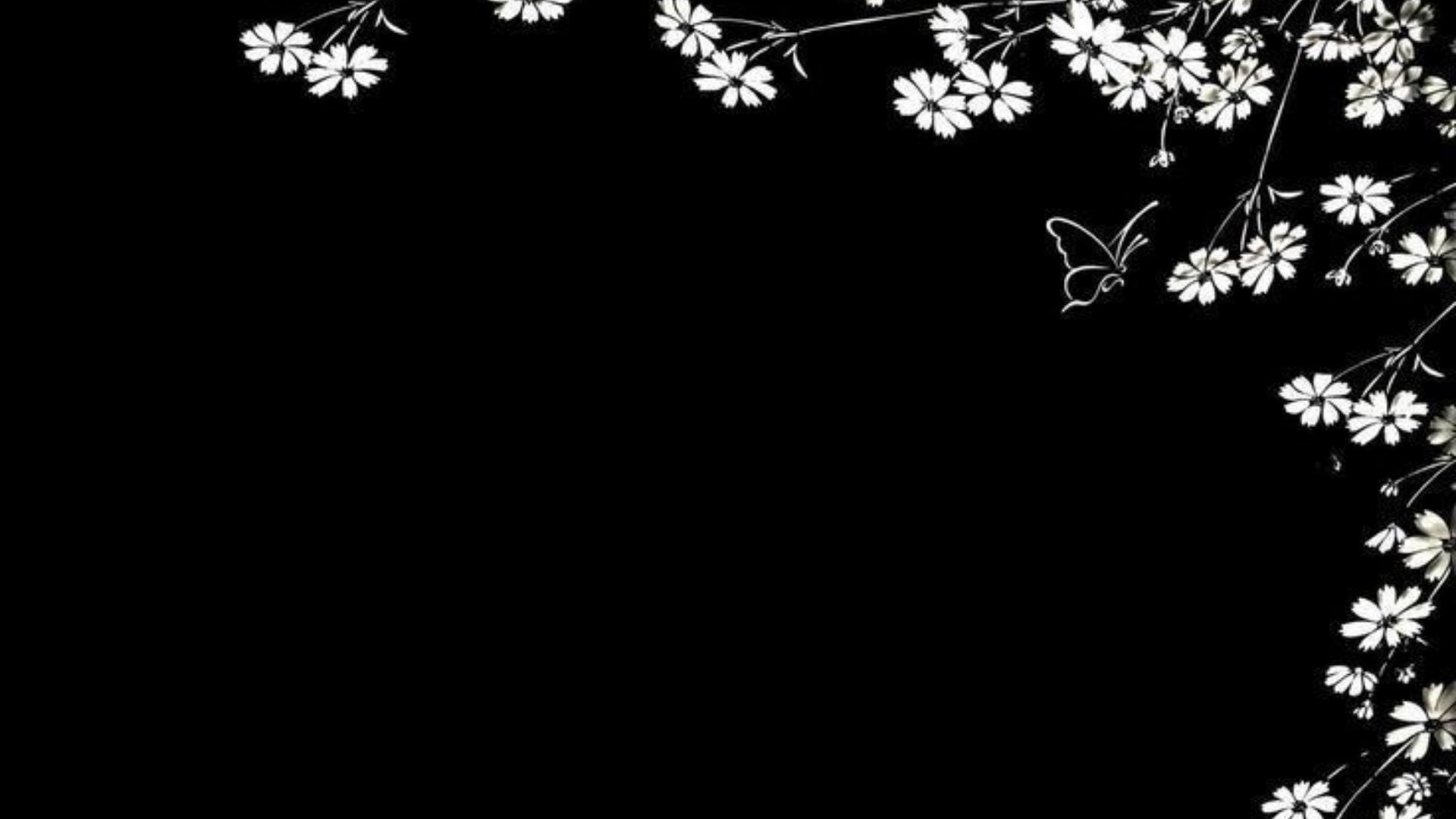 mau background den 22