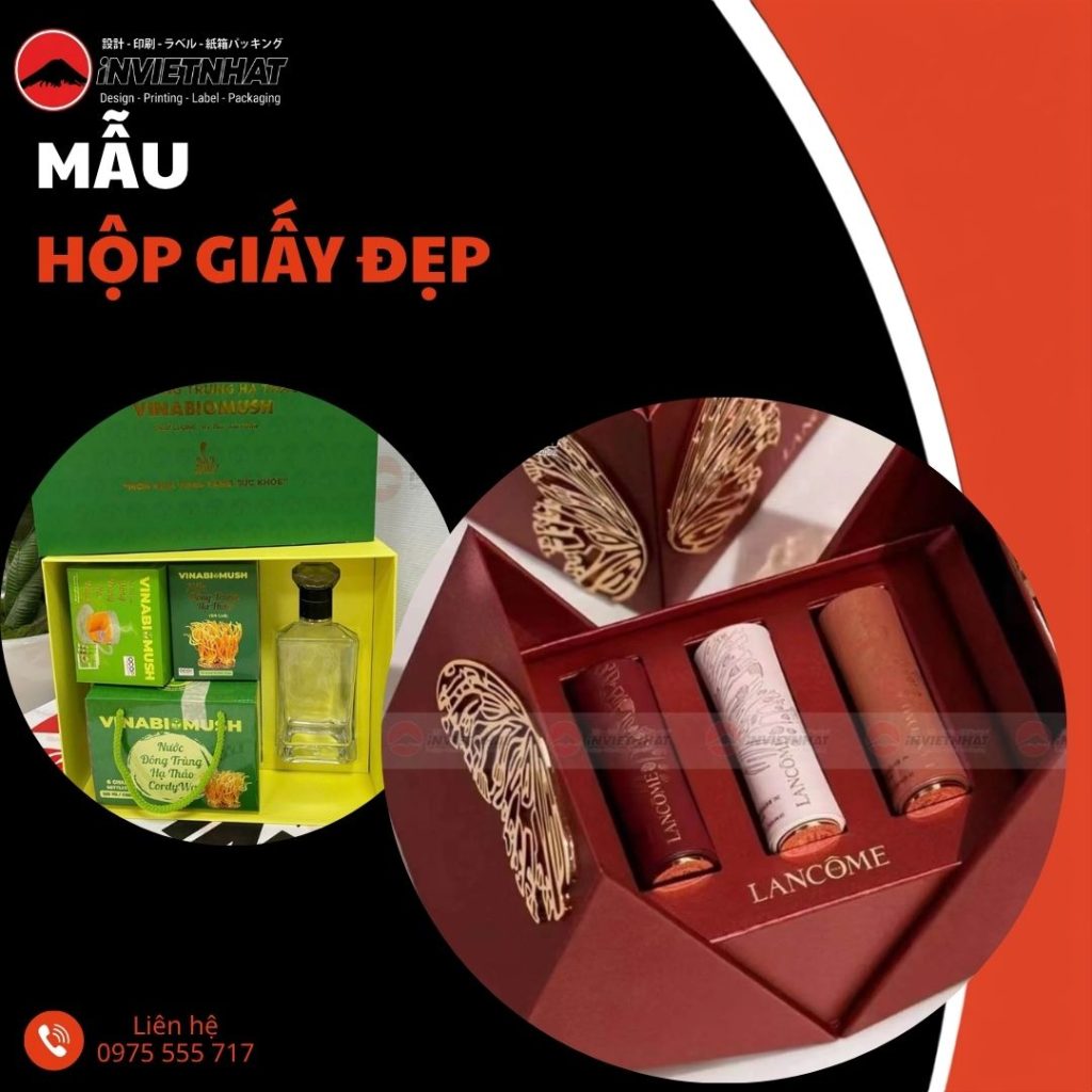 thumb mẫu hộp giấy đẹp