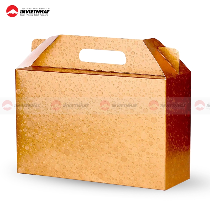 Hop giay co quai xach lien than