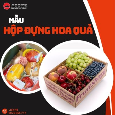 hộp đựng hoa quả