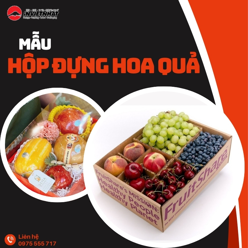 hộp đựng hoa quả