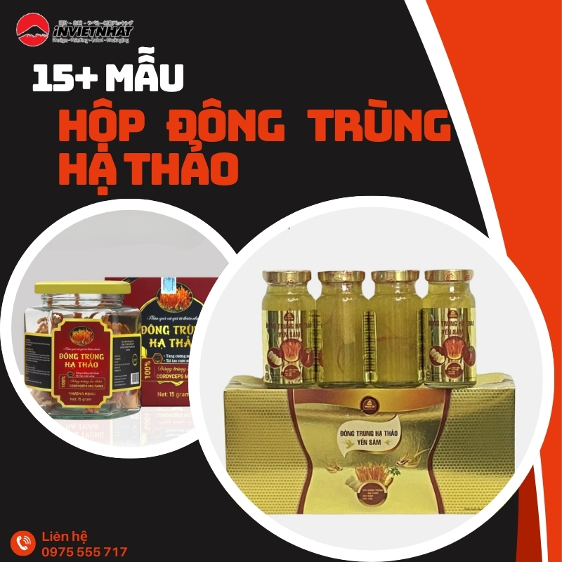 hộp đông trùng hạ thảo