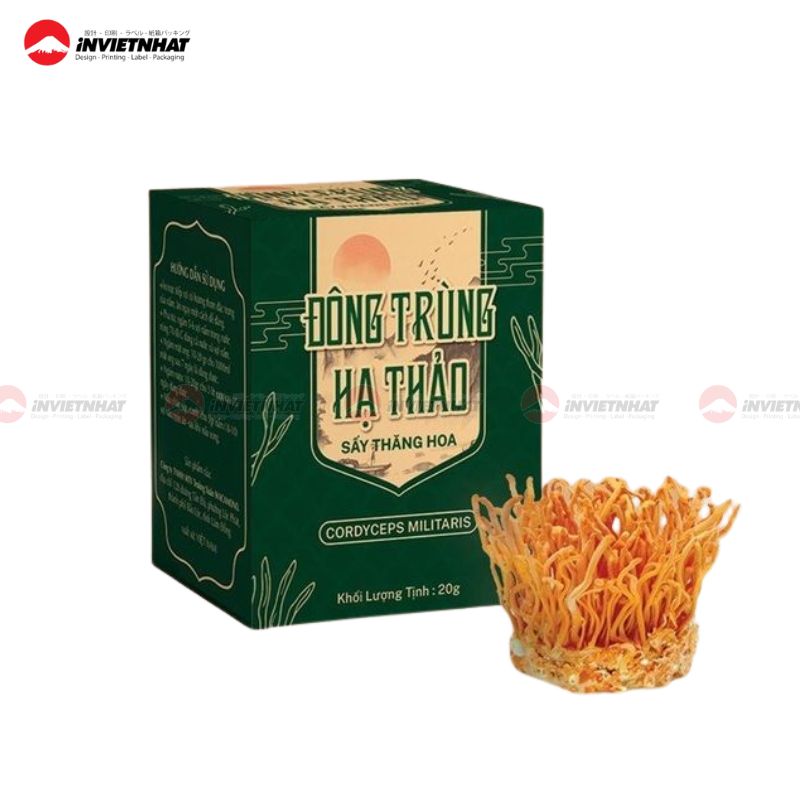 hộp đựng đông trùng hạ thảo 1