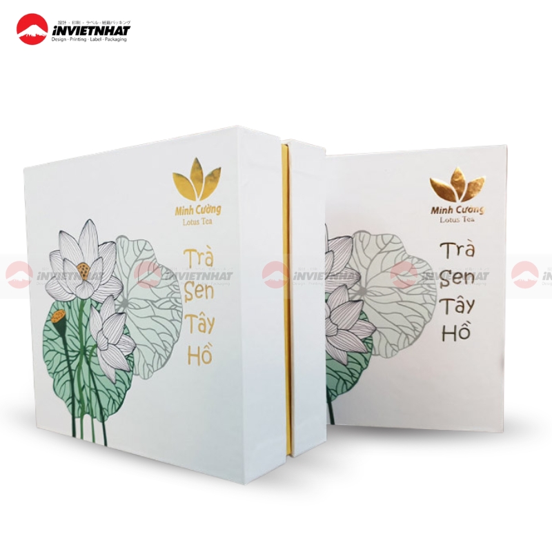 mau hop giay tra hoa sen