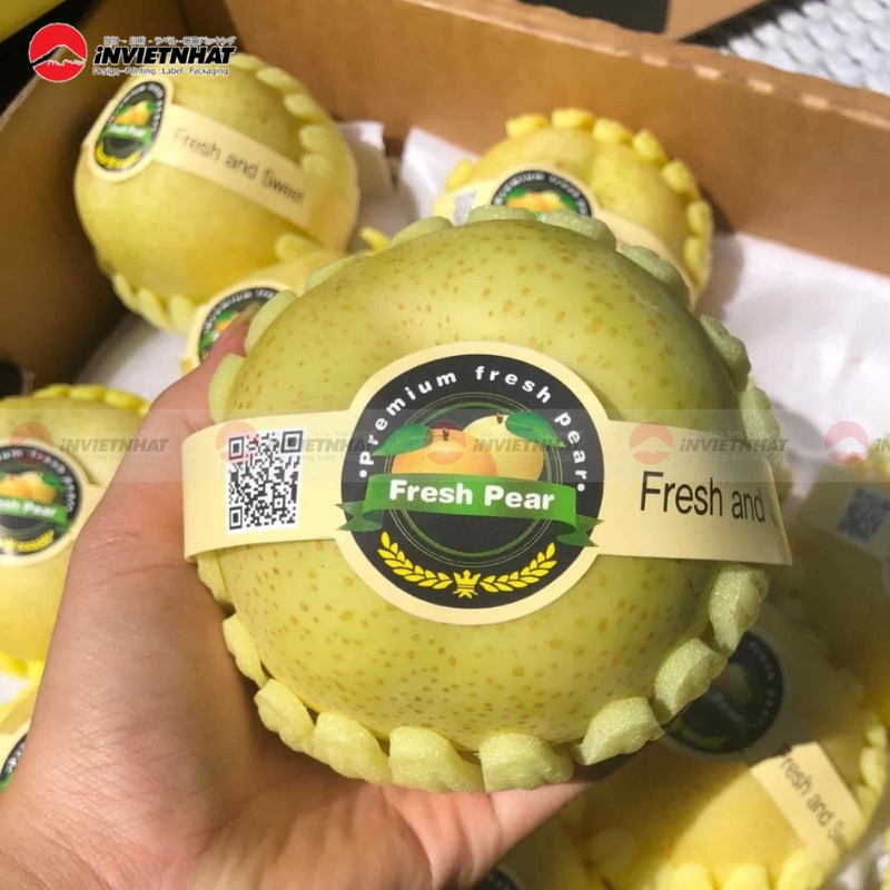 tem trai cay cao cap