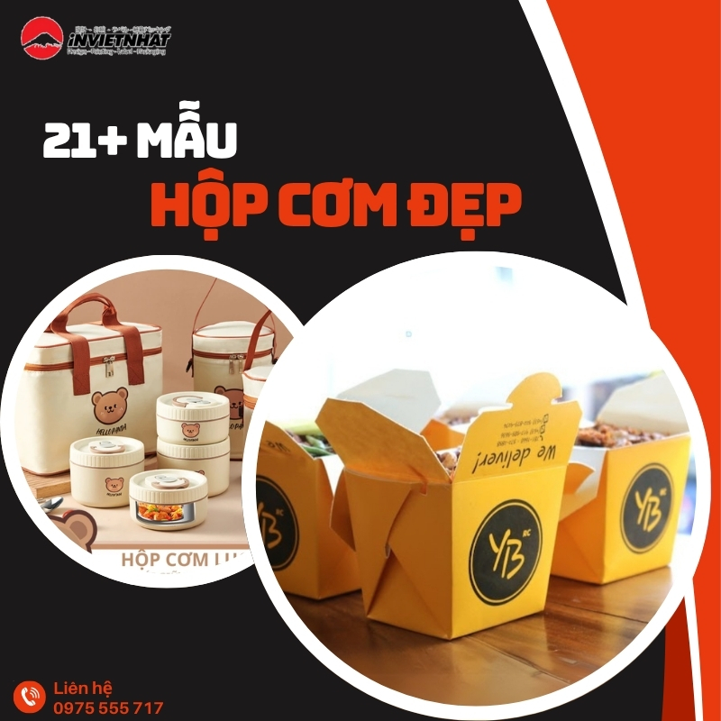 hộp cơm đẹp