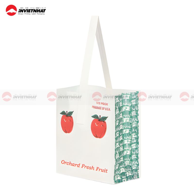 tui giay co quai dung hoa qua