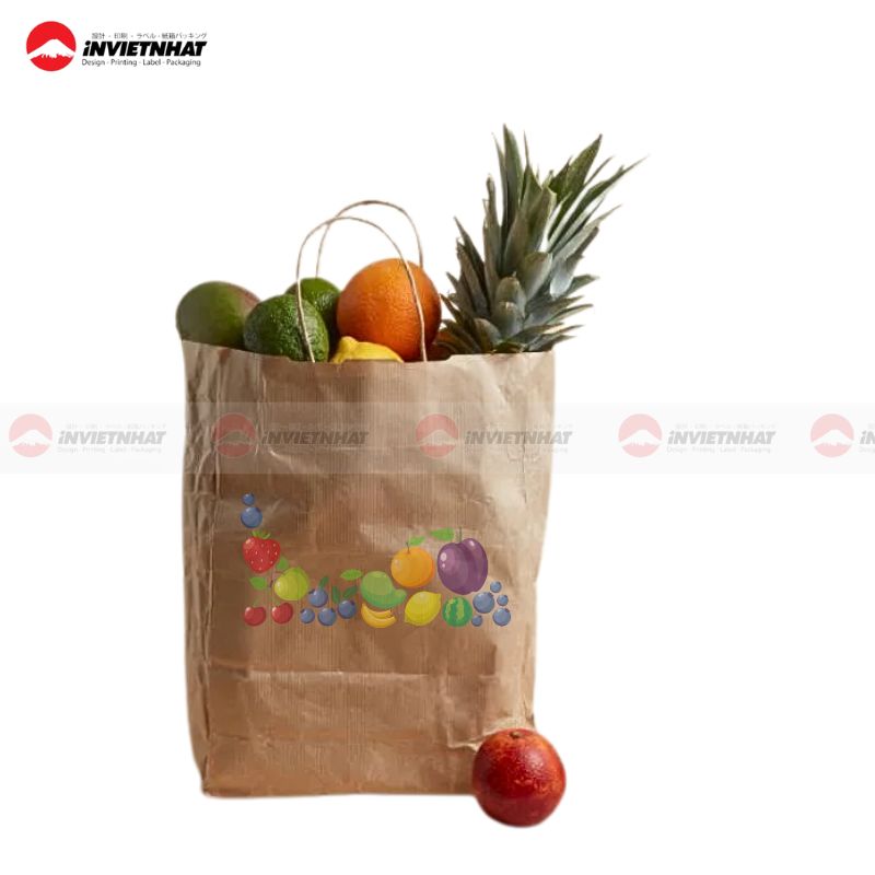 tui giay dung trai cay mang di