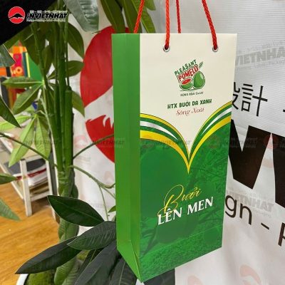 Túi giấy cao cấp Sông Xoài Co.Ltd