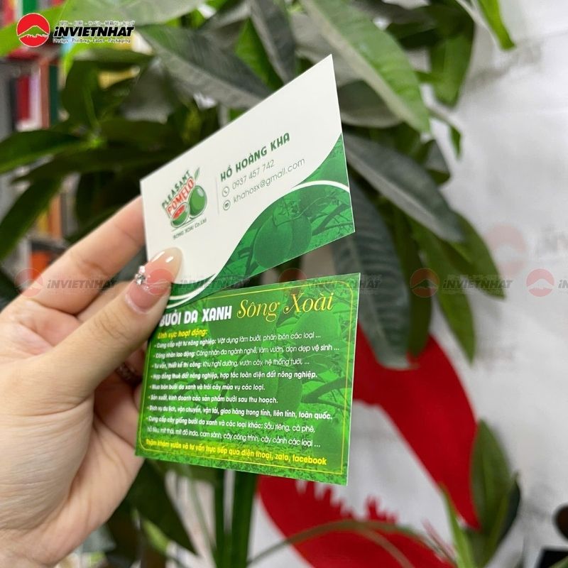 card visit Sông Xoài Co.Ltd