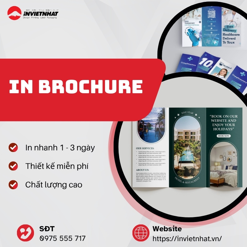 dich vu in brochure