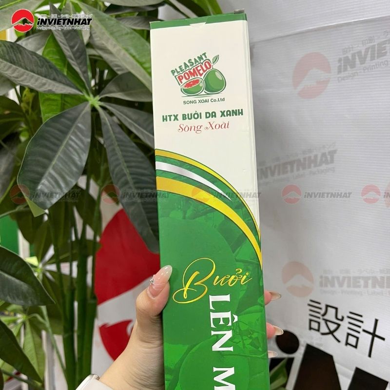 hộp giấy Hợp Tác Xã Bưởi Da Xanh Sông Xoài