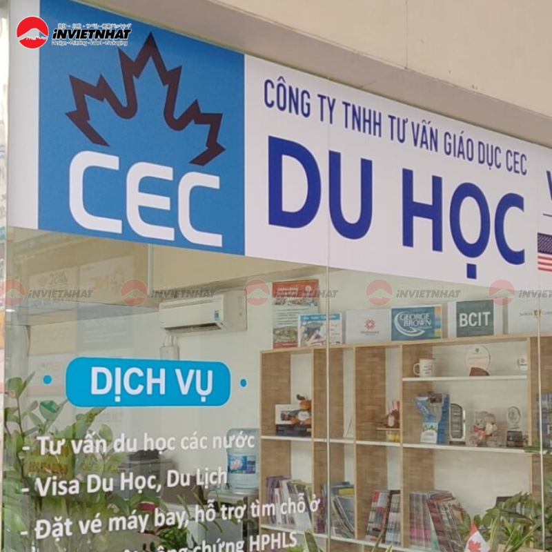 In decal sữa GIÁ RẺ TPHCM- Bảng báo giá 2026 6 mẫu decal dán cửa kính