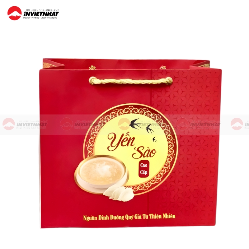 thiet ke mau tui giay yen sao dep