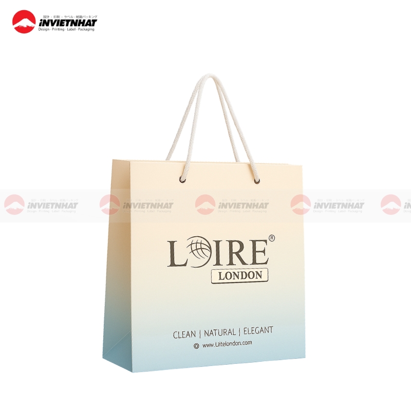 tui giay duoc pham da