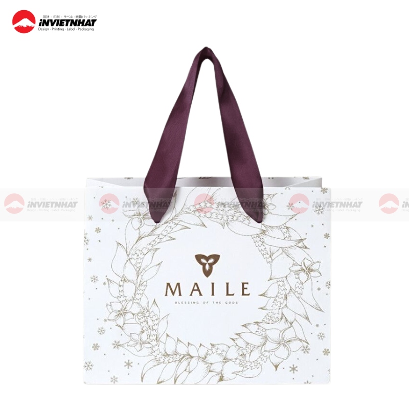tui giay shopping bag