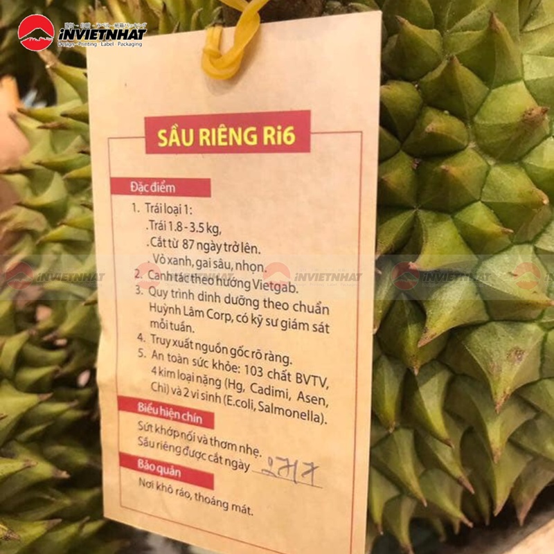 in tag tem sầu riêng