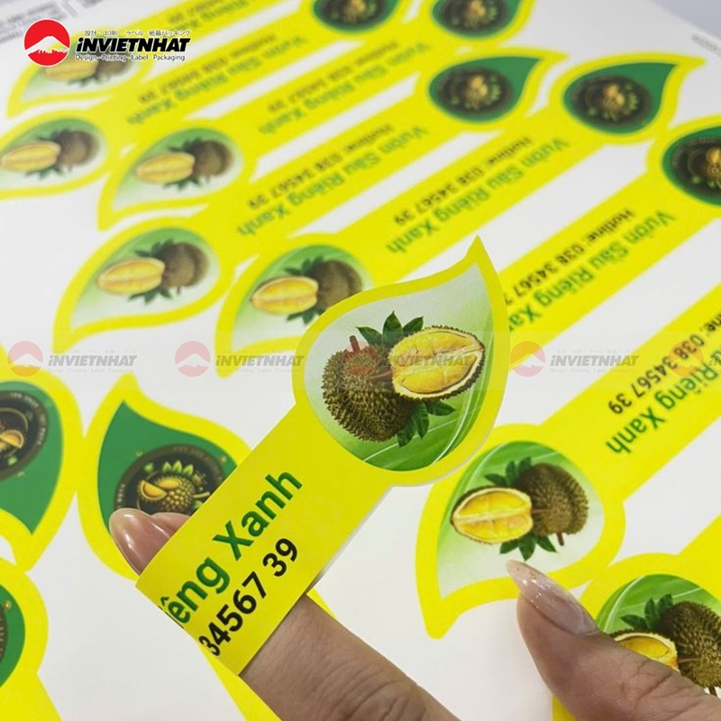In tem nhãn dán sầu riêng