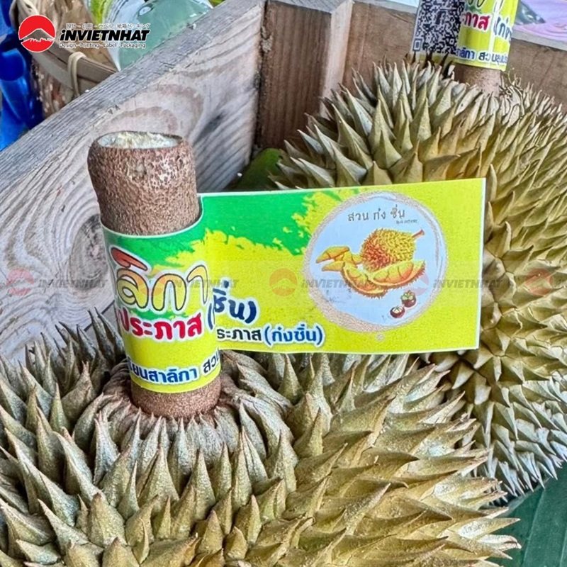 tem dán cuống sầu riêng