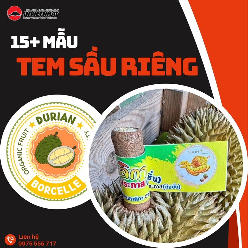Thumbnail tem sầu riêng