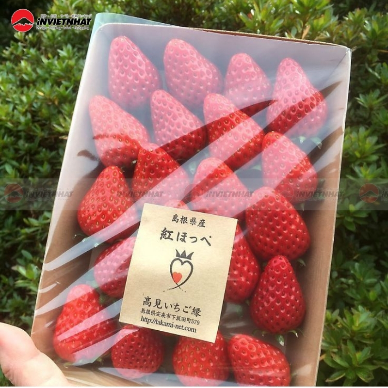 Hộp giấy đựng dâu tây đơn giản