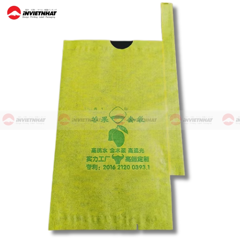 Mau tui giay kraft bao