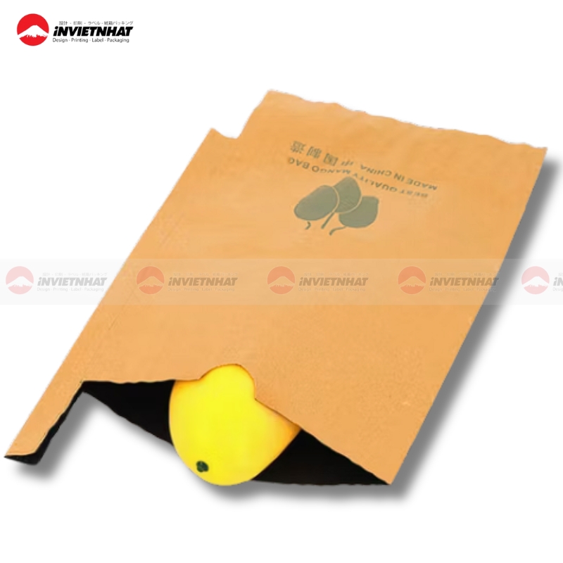 Tui giay bao xoai kraft nau