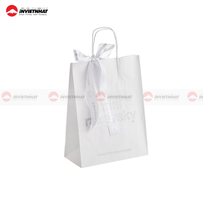 Túi giấy ruy băng hiện đại (2)